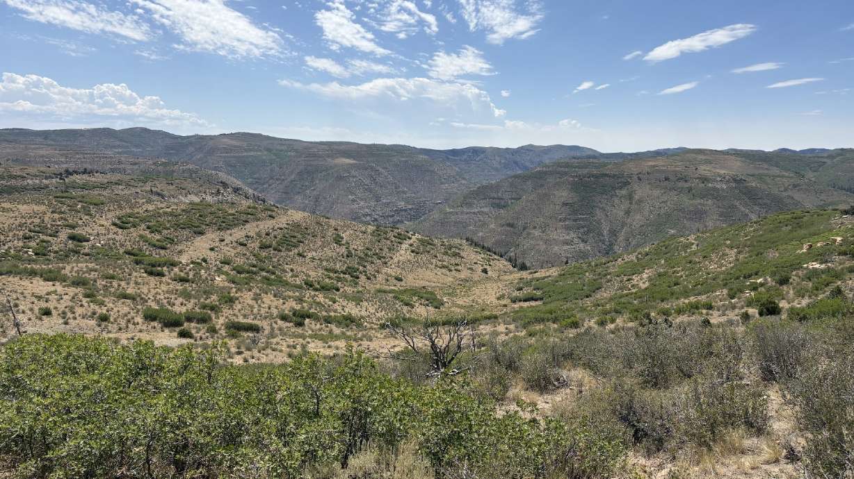 A 50,600-acre property in the Book Cliffs Mountains in northern Grand County on June 9. The Utah Division of Wildlife Resources acquired the property from SITLA on Thursday for nearly $30 million.