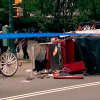 Horse-drawn carriage rides in New York on hold after teen tourist's death