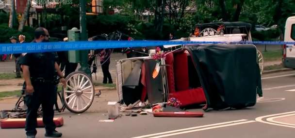 Horse-drawn carriage rides in New York on hold after teen tourist's death