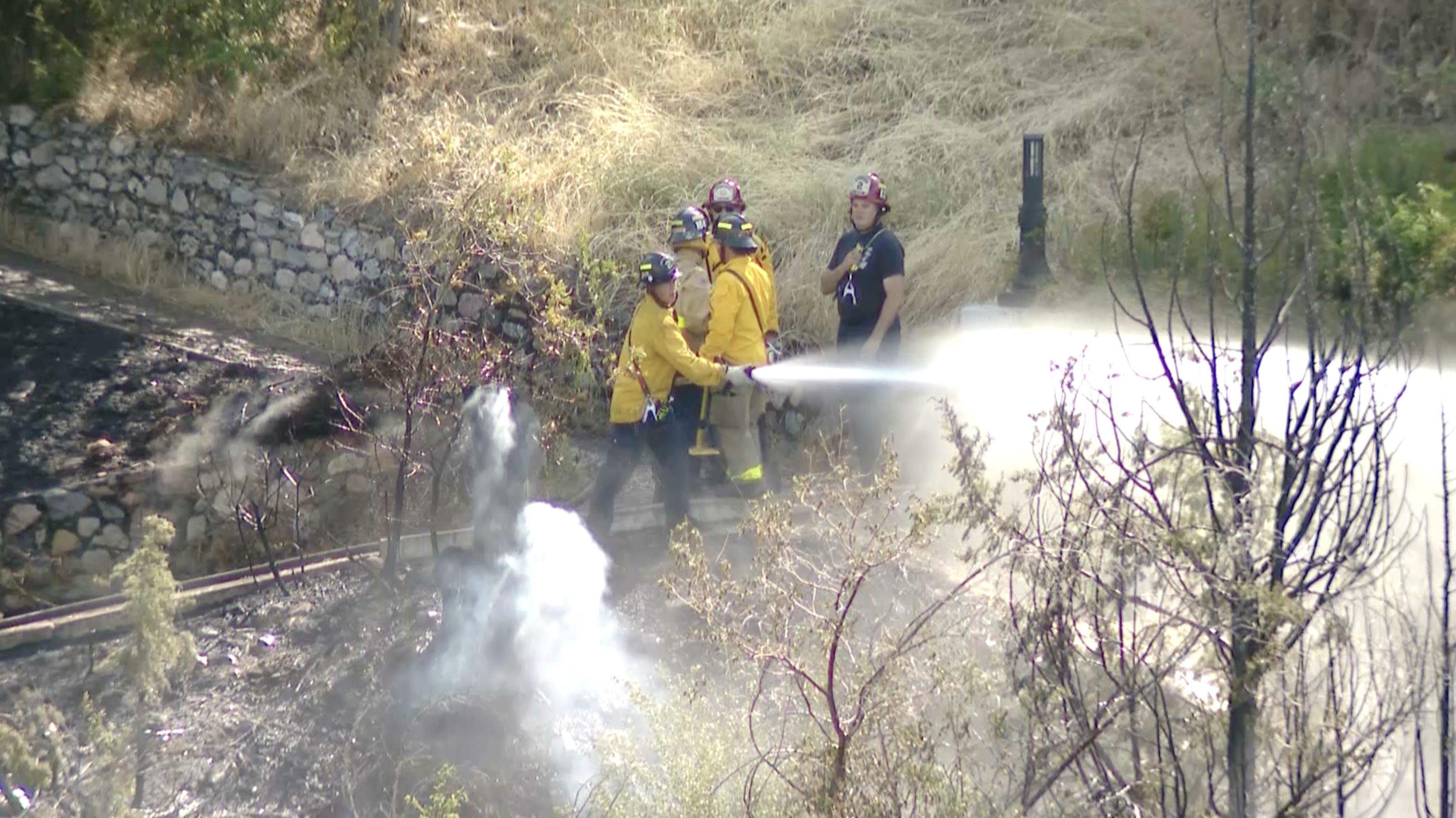 Person arrested, suspected of reckless burning after Memory Grove Park blaze