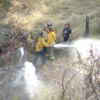 Person arrested, suspected of reckless burning after Memory Grove Park blaze