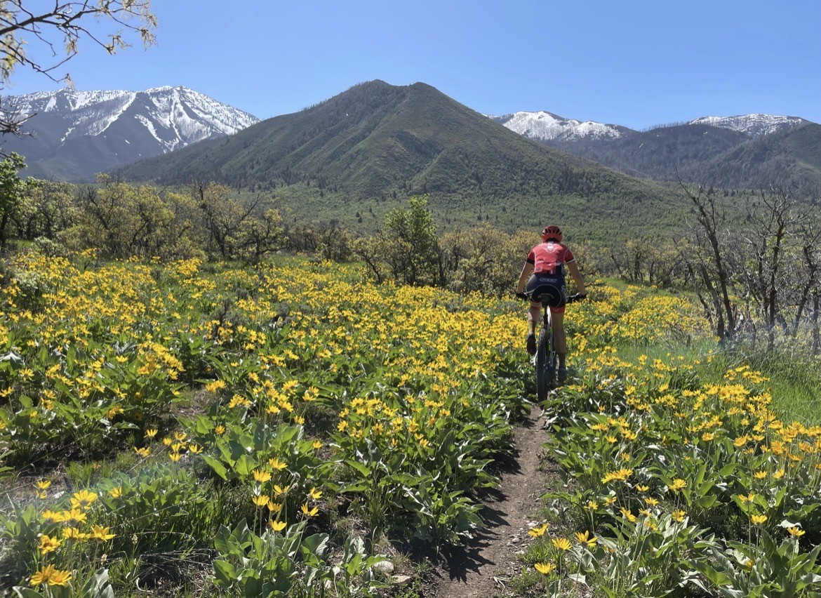 'This is pretty significant': 480-acre conservation easement secured at base of Payson Canyon