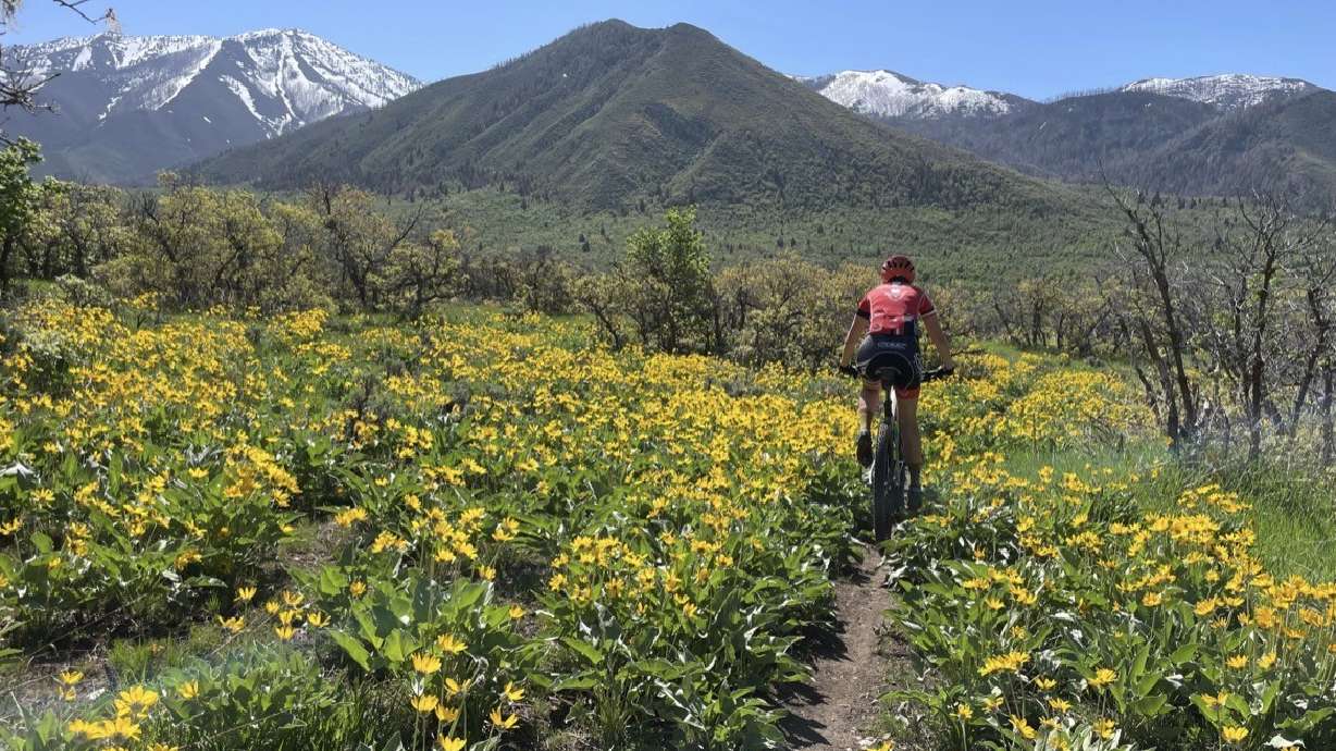 A 480-acre conservation easement was secured at the base of Payson Canyon, in a partnership between neighboring cities Payson and Lehi. Local outdoor recreationists have been working on preserving the area for decades and call it a "significant" milestone for future generations.