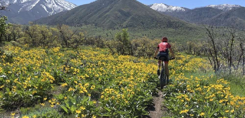 'This is pretty significant': 480-acre conservation easement secured at base of Payson Canyon
