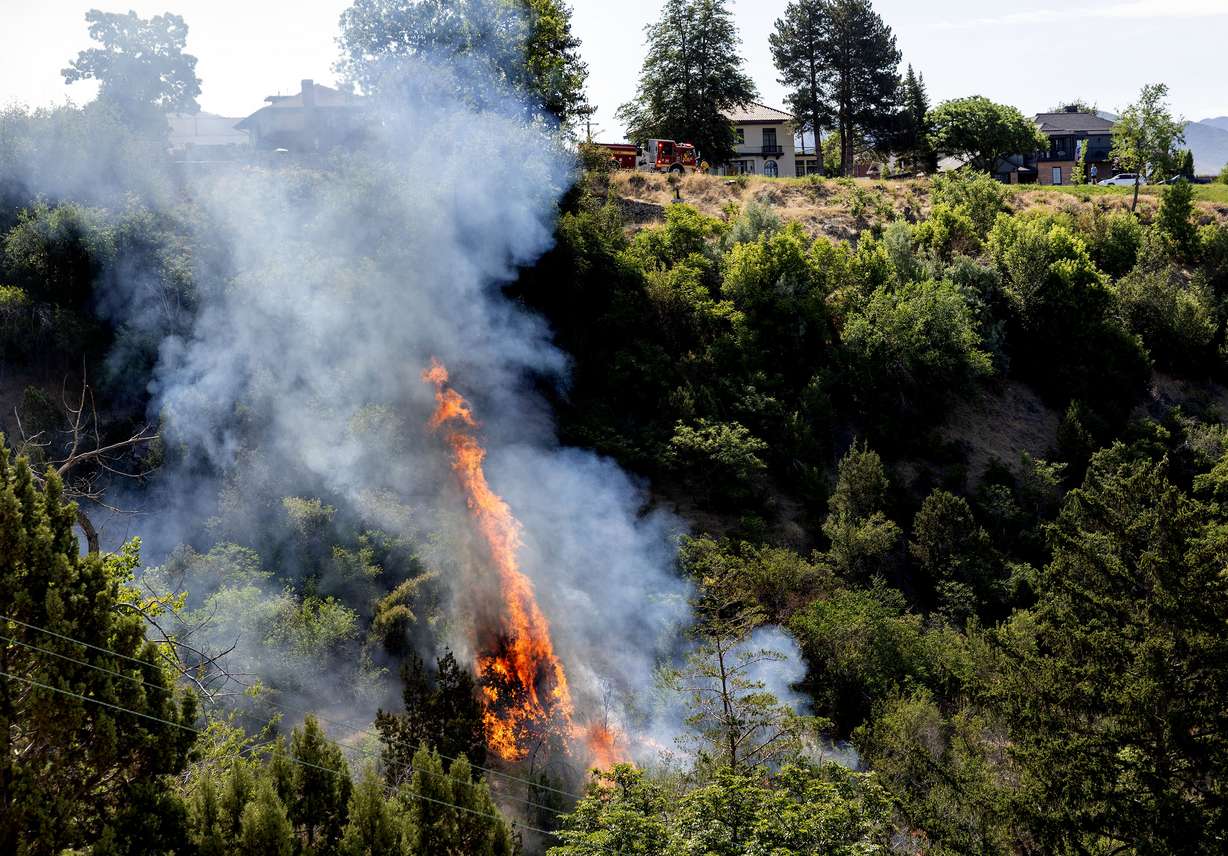 Salt Lake City firefighters arrive at the scene in Memory Grove in Salt Lake City on June 19.