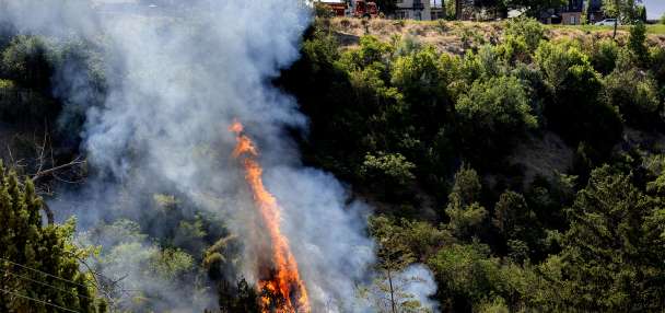 Person arrested, suspected of reckless burning after Memory Grove Park blaze