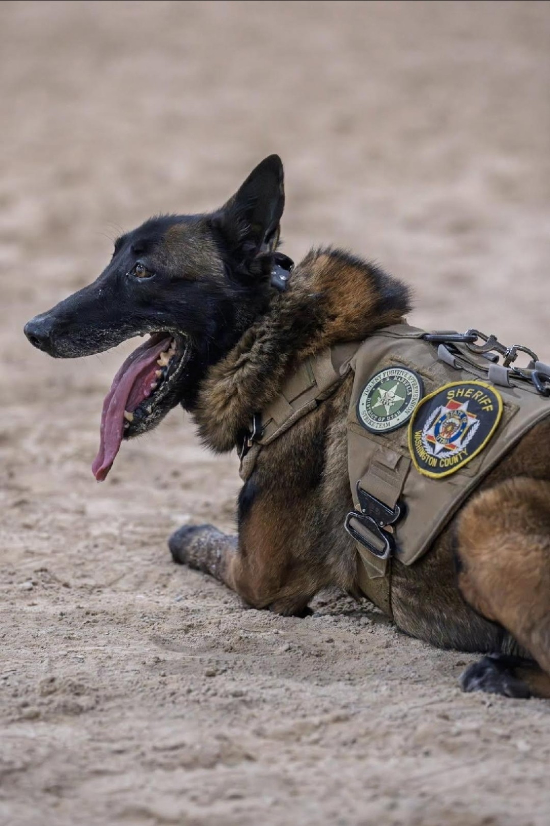 The Washington County Sheriff's Office announced Friday that K-9 deputy Cyrus has passed away following a three-day battle with a "sudden, unexpected medical emergency." Deputy Cyrus was 7 years old and began duty in 2020.