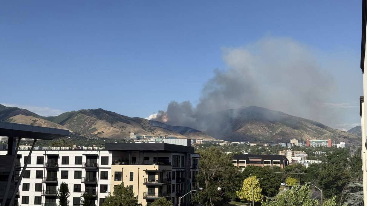 A new wildfire sparked Saturday above Red Butte Garden on the University of Utah campus.