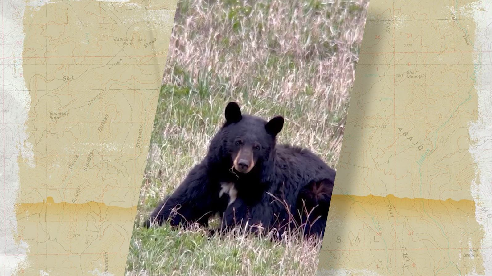 KSL Outdoors Snapshot of the Week: June 20, 2026