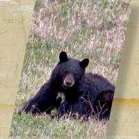 KSL Outdoors Snapshot of the Week: June 20, 2026