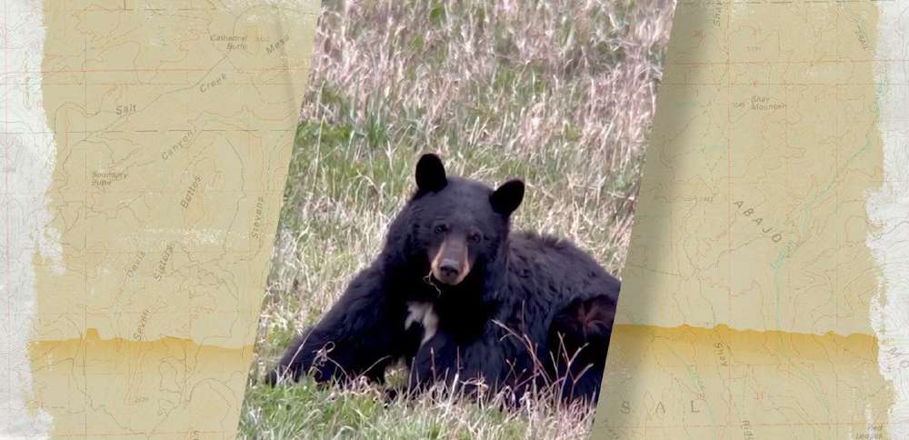 KSL Outdoors Snapshot of the Week: June 20, 2026
