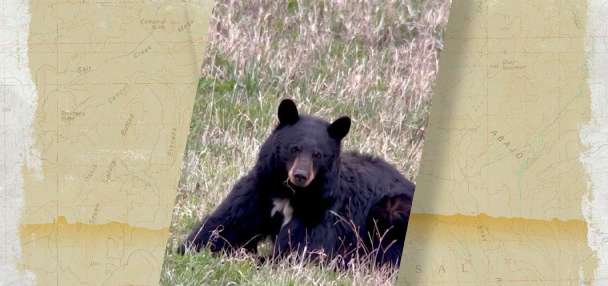KSL Outdoors Snapshot of the Week: June 20, 2026