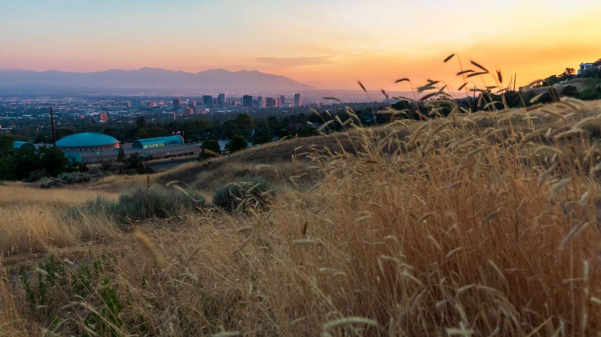 Dry vegetation seen along a hiking trail in Salt Lake City on Monday. Dry conditions and ongoing wildfires across Utah prompted Utah Gov. Spencer Cox to issue an executive order banning all personal fireworks' use.