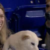 Have You Seen This? Sad dog misses out on ballpark snack