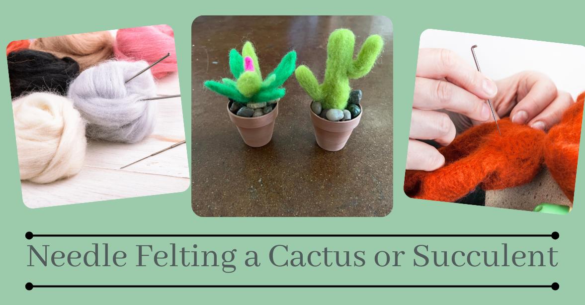 Felted Succulents, Plants or Cactus Class