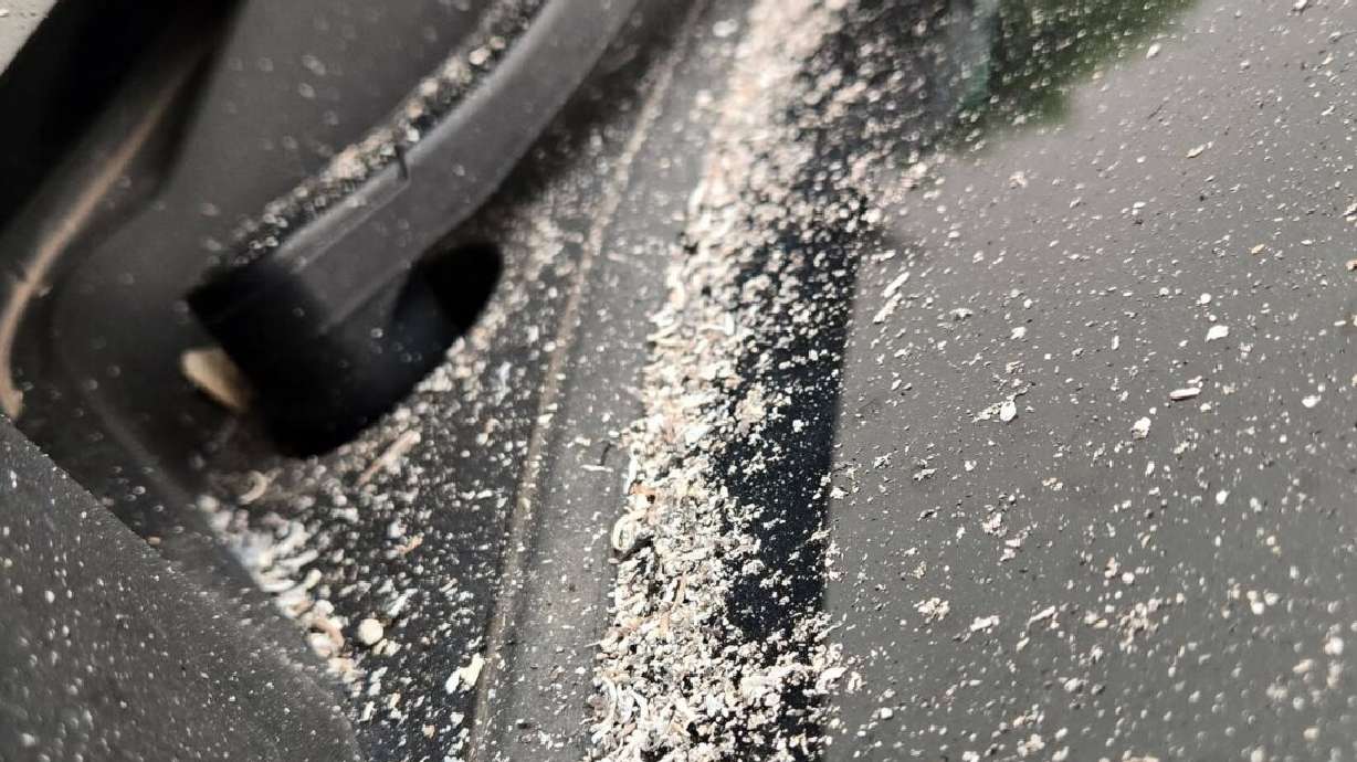 Ash from nearby fires collects on a windshield in Monroe. Reports of ash falling from the sky and hazy conditions across parts of Utah are raising concerns about air quality and outdoor events as wildfire smoke drifts into populated areas.