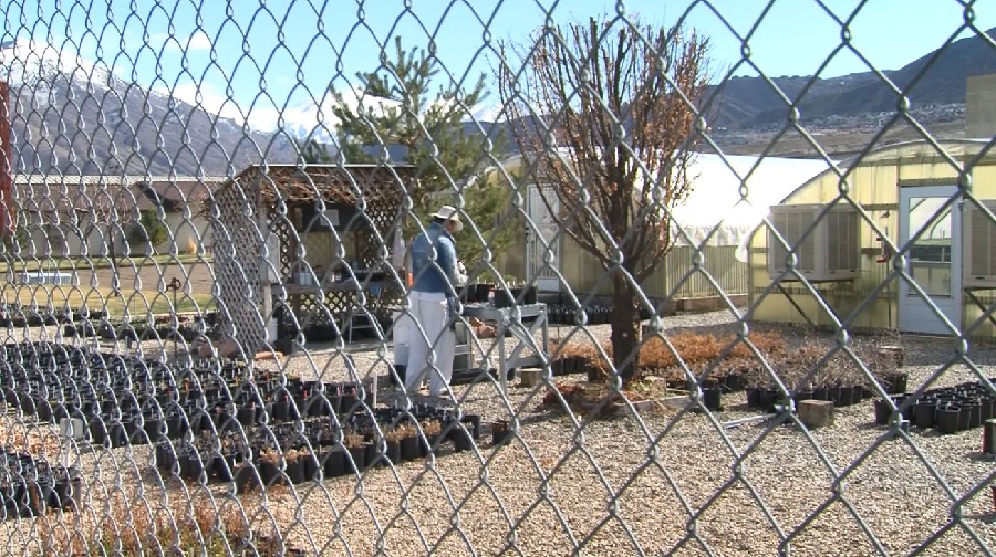Justice for All: Does The Inmate Placement Program Short Change Prisoners?