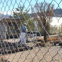 Justice for All: Does The Inmate Placement Program Short Change Prisoners?