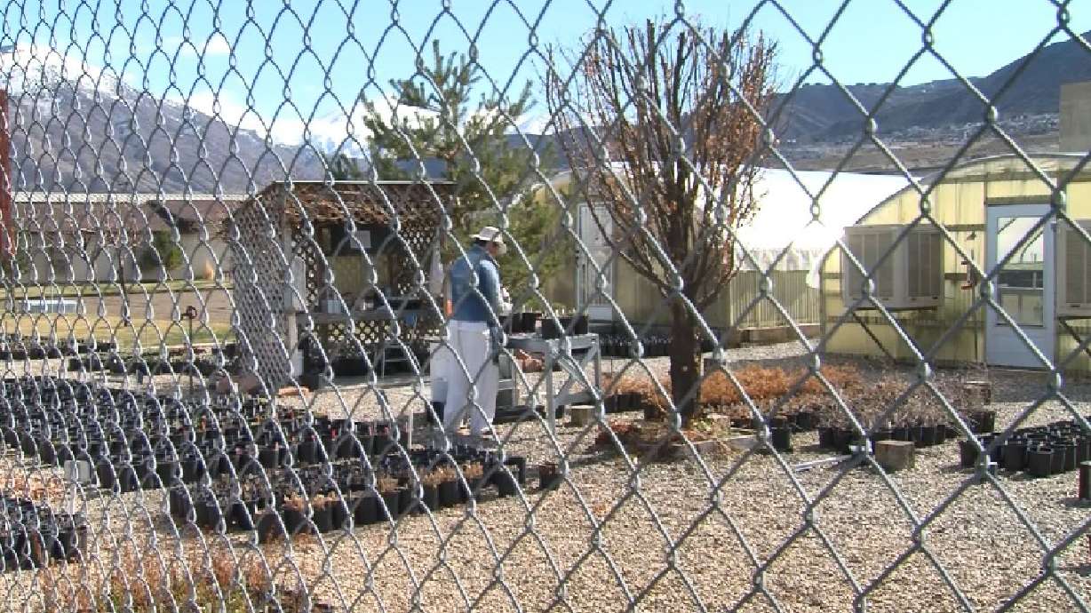 Justice for All: Does The Inmate Placement Program Short Change Prisoners?