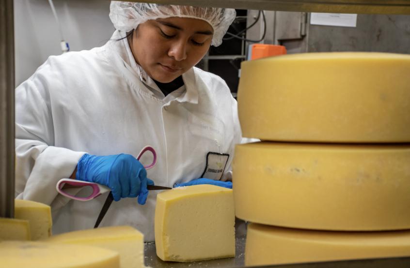 Dairy over the decades: What's changed and what's stayed the same