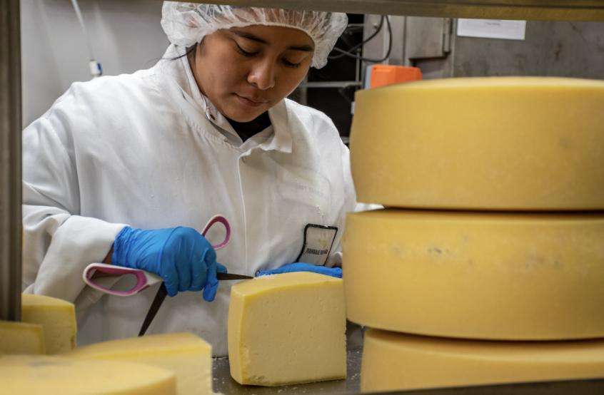 Dairy over the decades: What's changed and what's stayed the same
