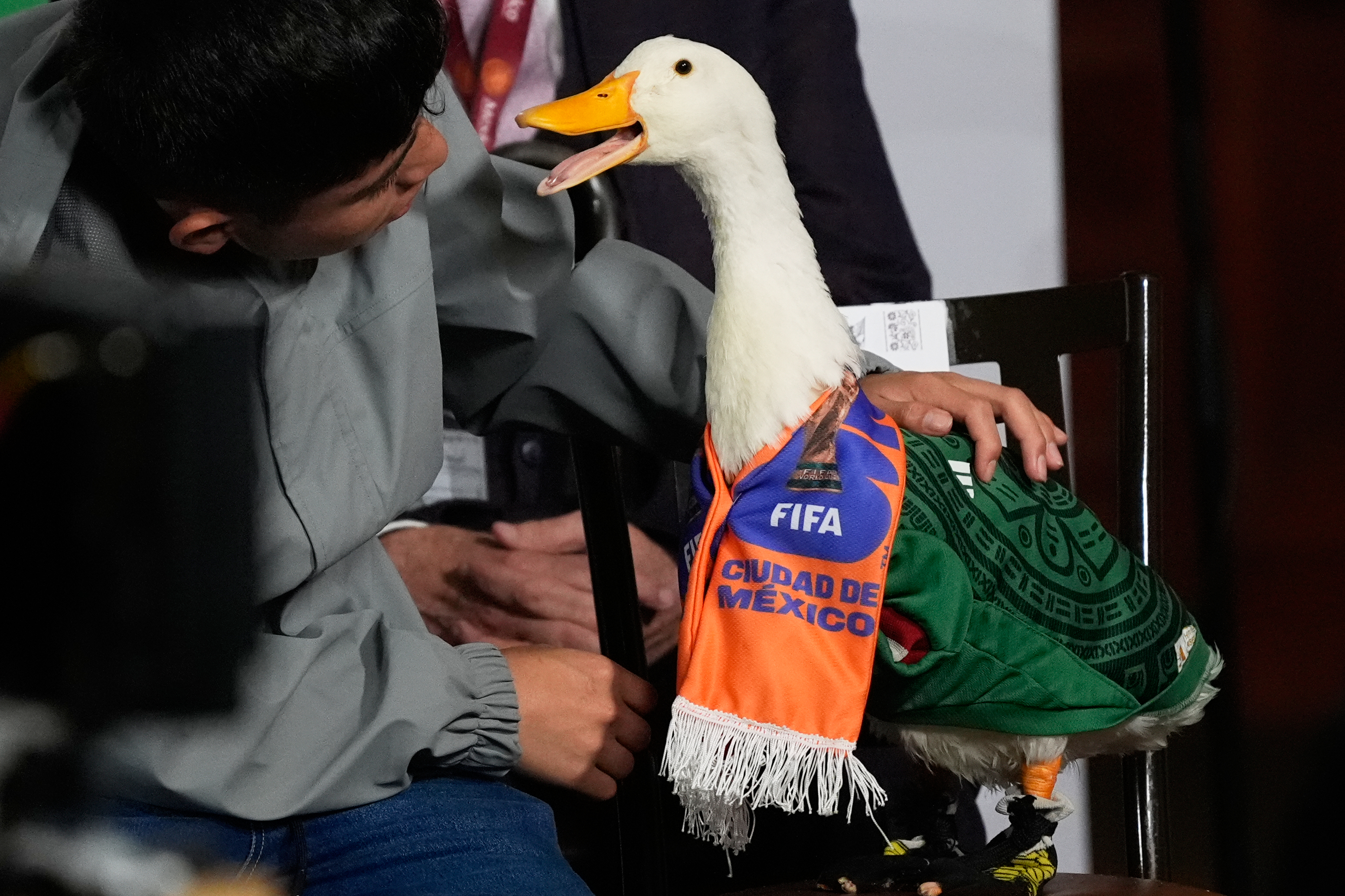 Merlín the duck takes a trip to the stadium, but FIFA rules keep him out of Mexico match