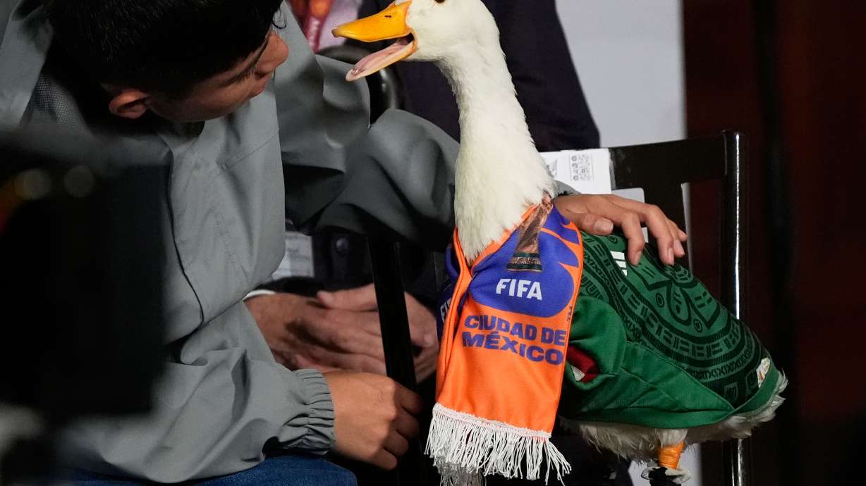 Christian Gomez interacts with his duck Merlin, dressed in a Mexican national soccer team jersey, as they attend the daily press conference by Mexican President Claudia Sheinbaum at the National Palace in Mexico City, Monday, June 22, 2026.