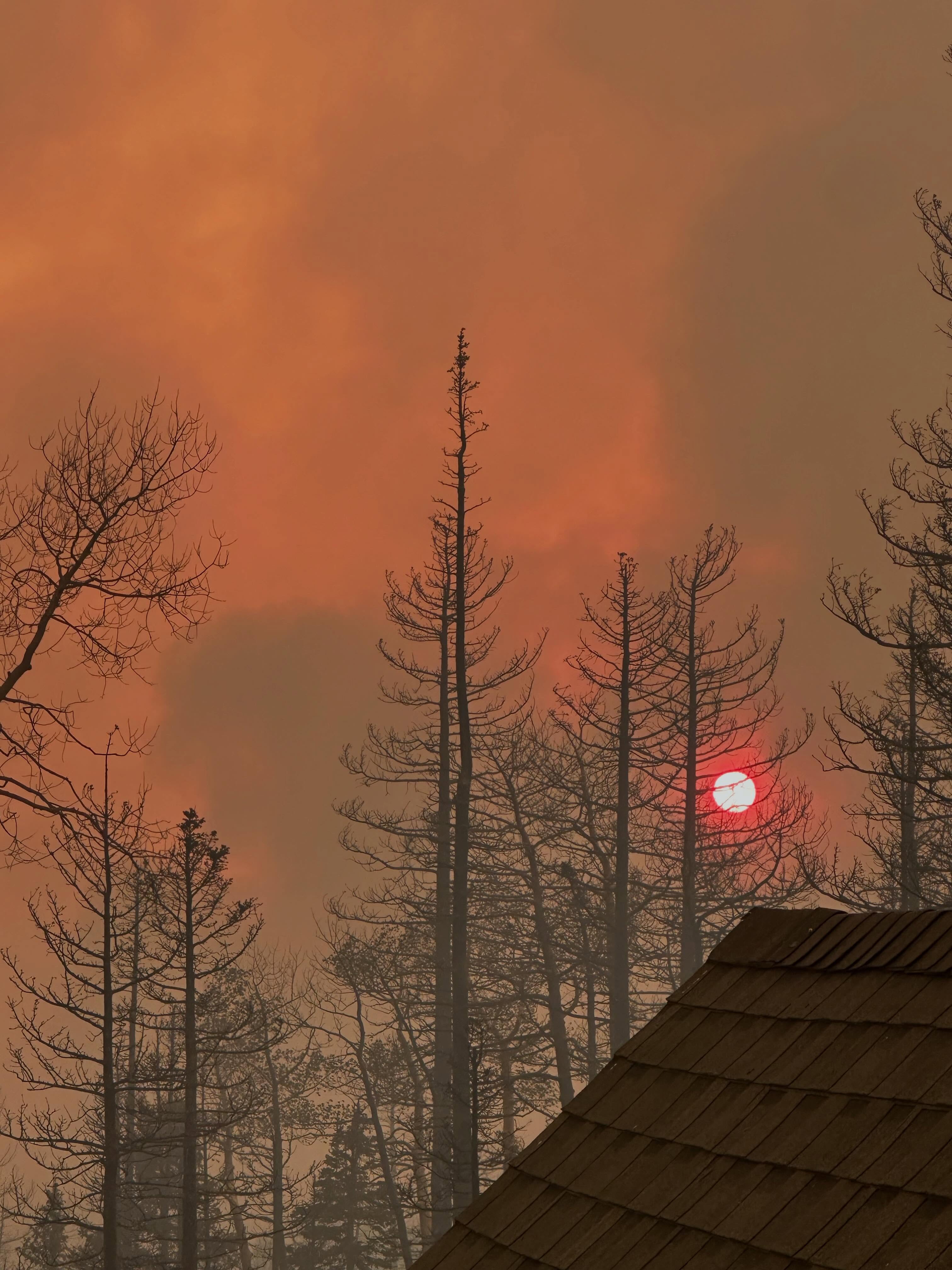 Cottonwood Fire might set cost records after destroying southern Utah resort, Cox says