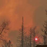 Cottonwood Fire might set cost records after destroying southern Utah resort, Cox says