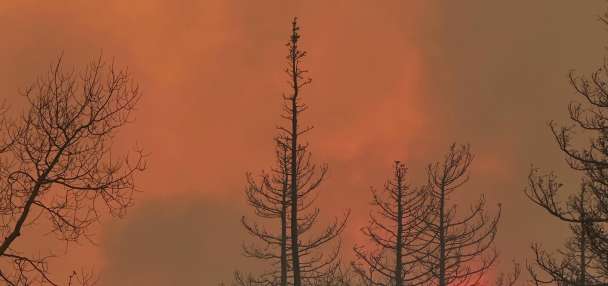 Cottonwood Fire might set cost records after destroying southern Utah resort, Cox says