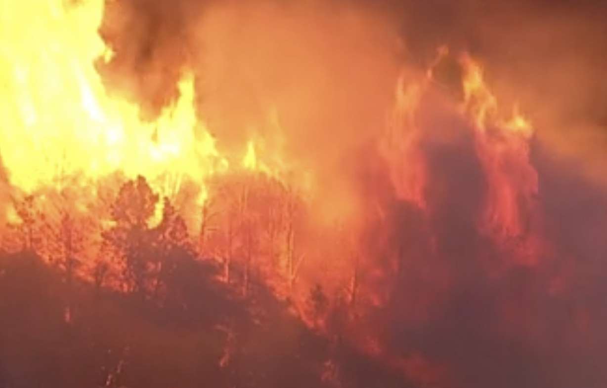 The Cottonwood Fire tears through trees in Beaver County on June 24. The fire burned the second-largest amount of woodland and forest area over the past 40 years, University of Utah researchers say.