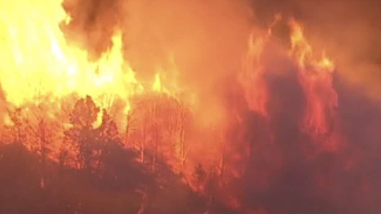 The Cottonwood Fire in Beaver County burns trees on Wednesday. The fire burned close to 60,000 acres as of Wednesday morning, and has destroyed countless structures.