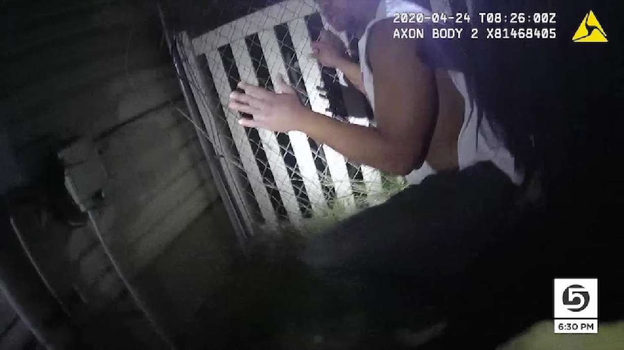 Year In Review: Use Of K9 Officers During Arrests Called Into Question
