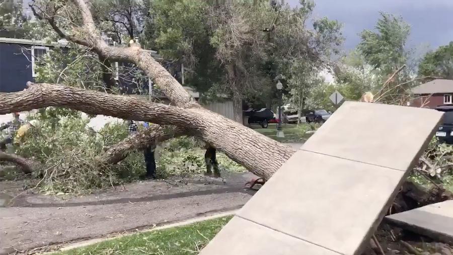 1 Dead, At Least A Dozen Injured During Windstorm | KSL.com
