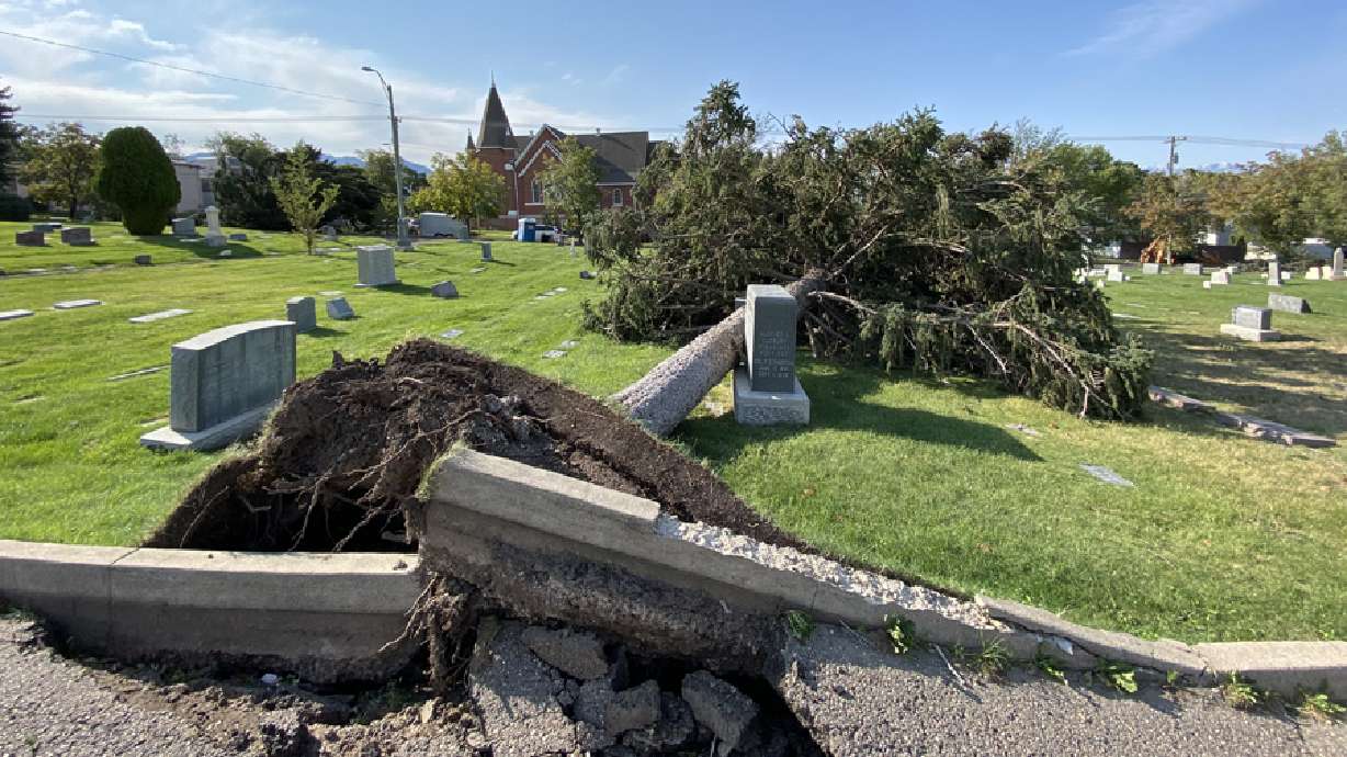 Historic Salt Lake City Cemetery One Of Areas Hit Hardest By Windstorm