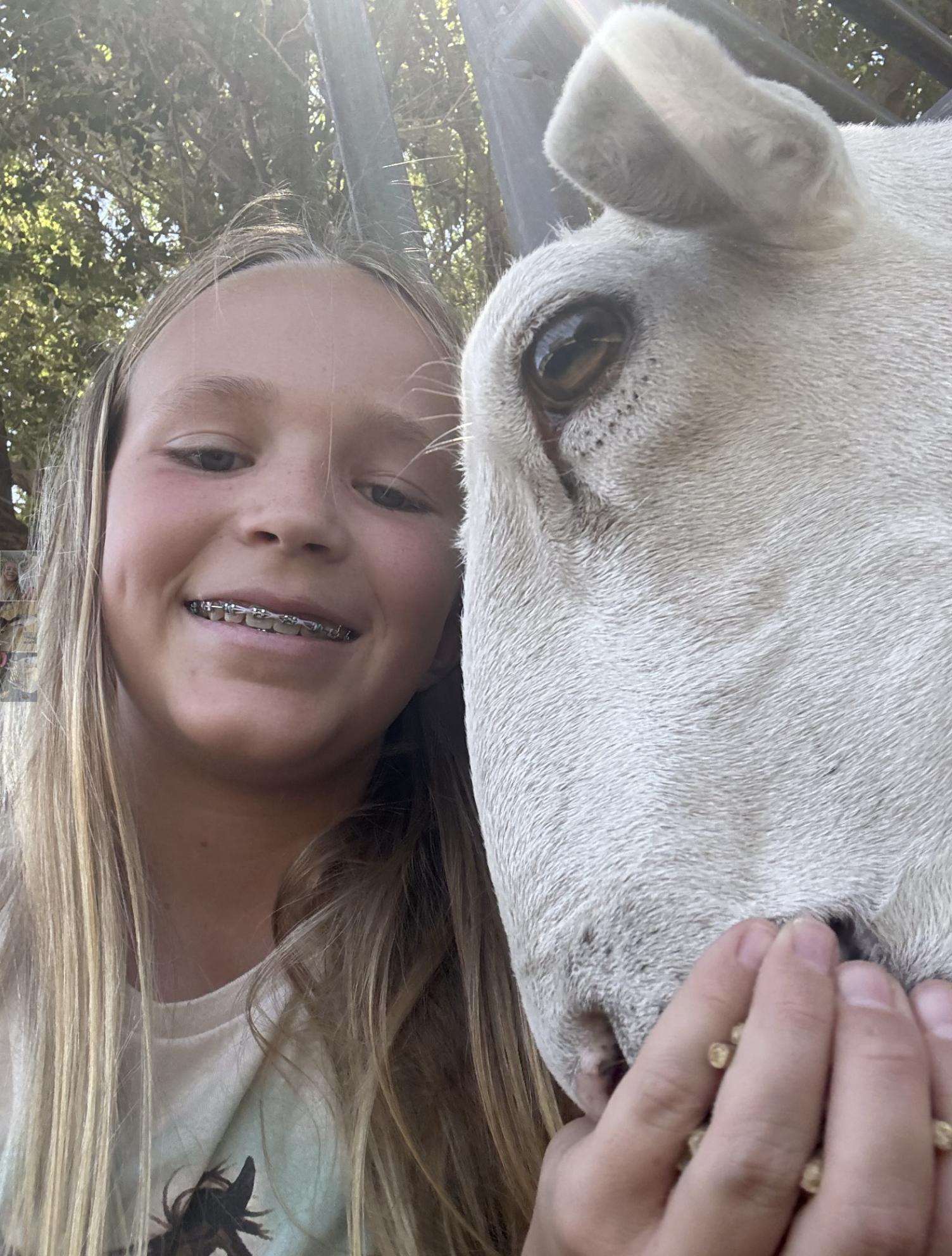 Lamb found roaming on southern Utah golf course gets adopted at Hurricane homestead