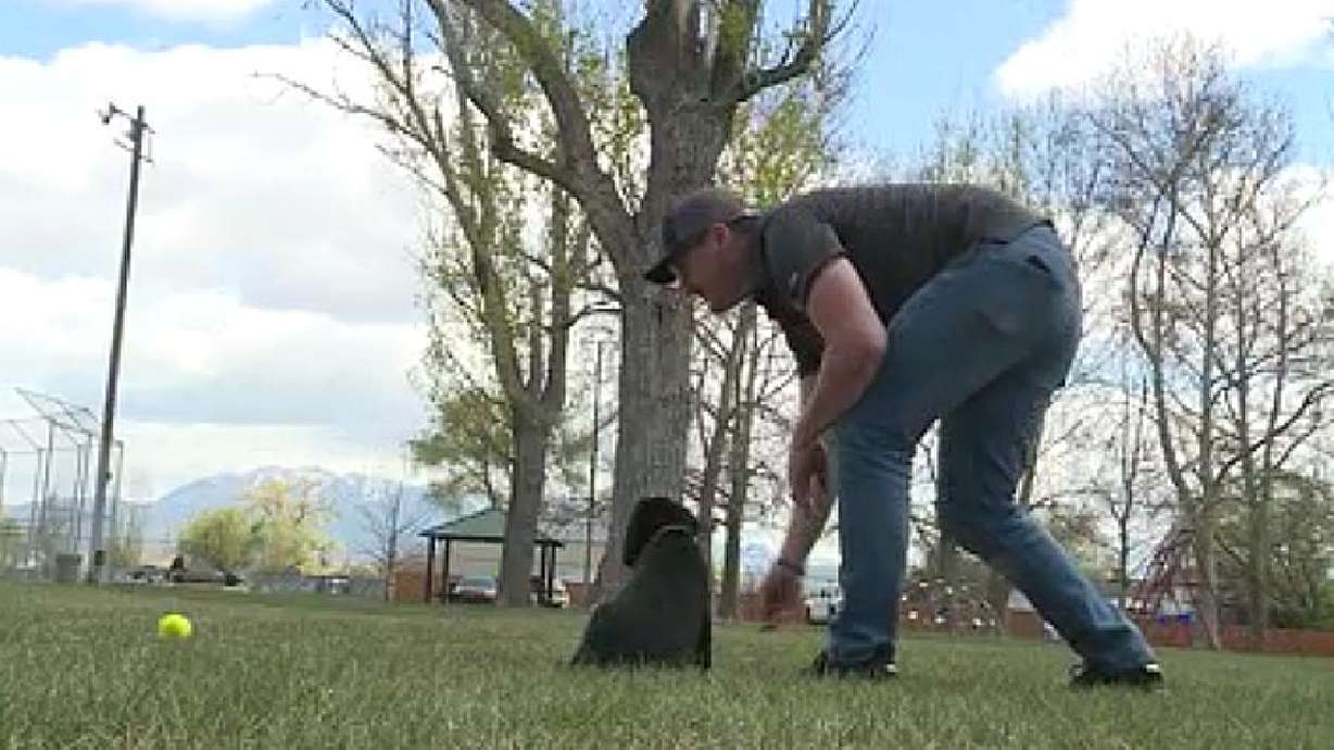 Puppy power helps Utah vets battle PTSD