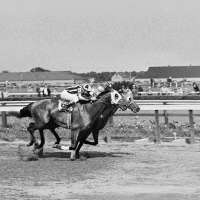 Final stretch: NYC's last horse track, Aqueduct, ending live races