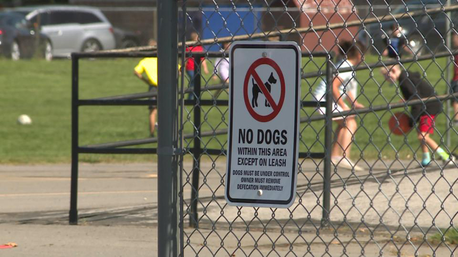 ‘It’s a mess’: Dog poop on school grounds growing problem in Murray ...