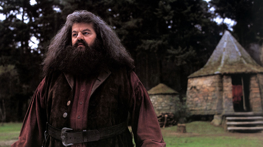 Robbie Coltrane, Hagrid in 'Harry Potter' films, dead at 72