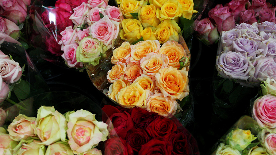 Several colorful rose bouquets on display at a market in Austrailia.