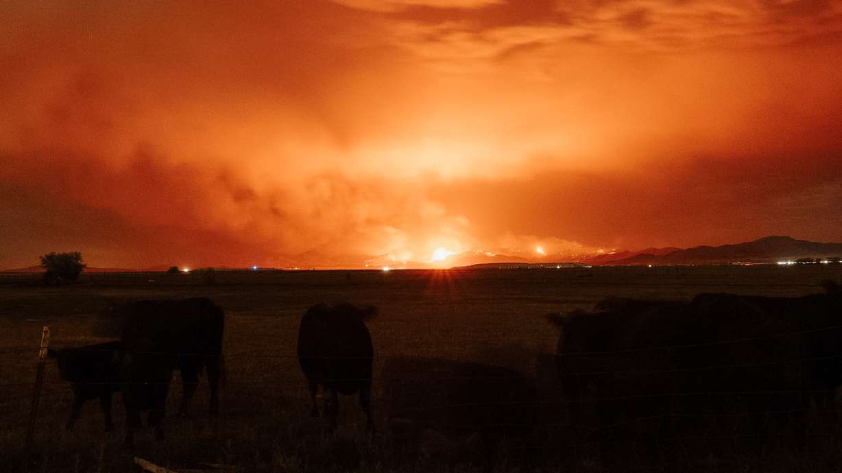 This undated photo shows the 2026 Iron Fire burning along the horizon.