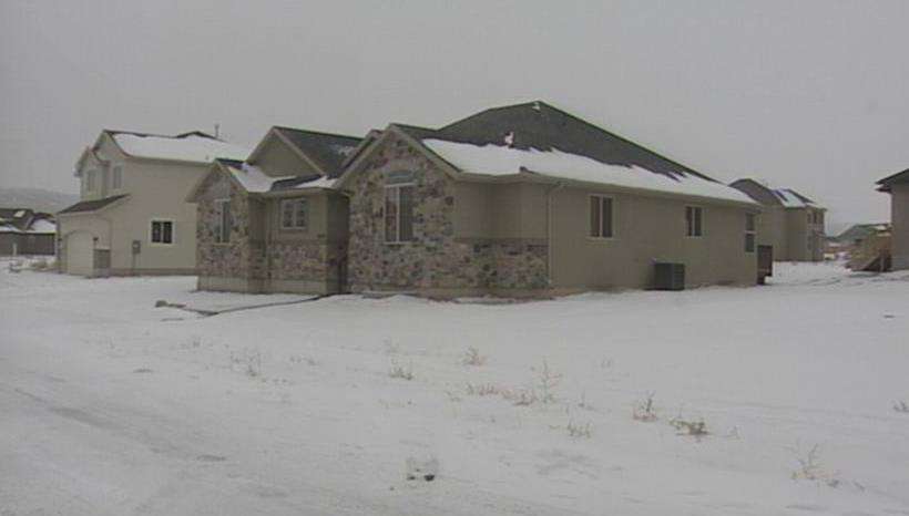 Couple arrested in marijuana-growing operation