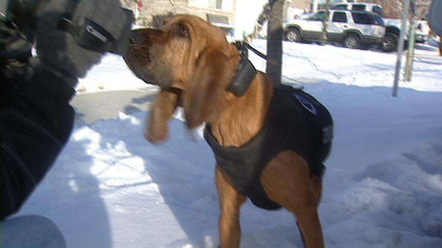 Police questioning 2 people in Draper shooting