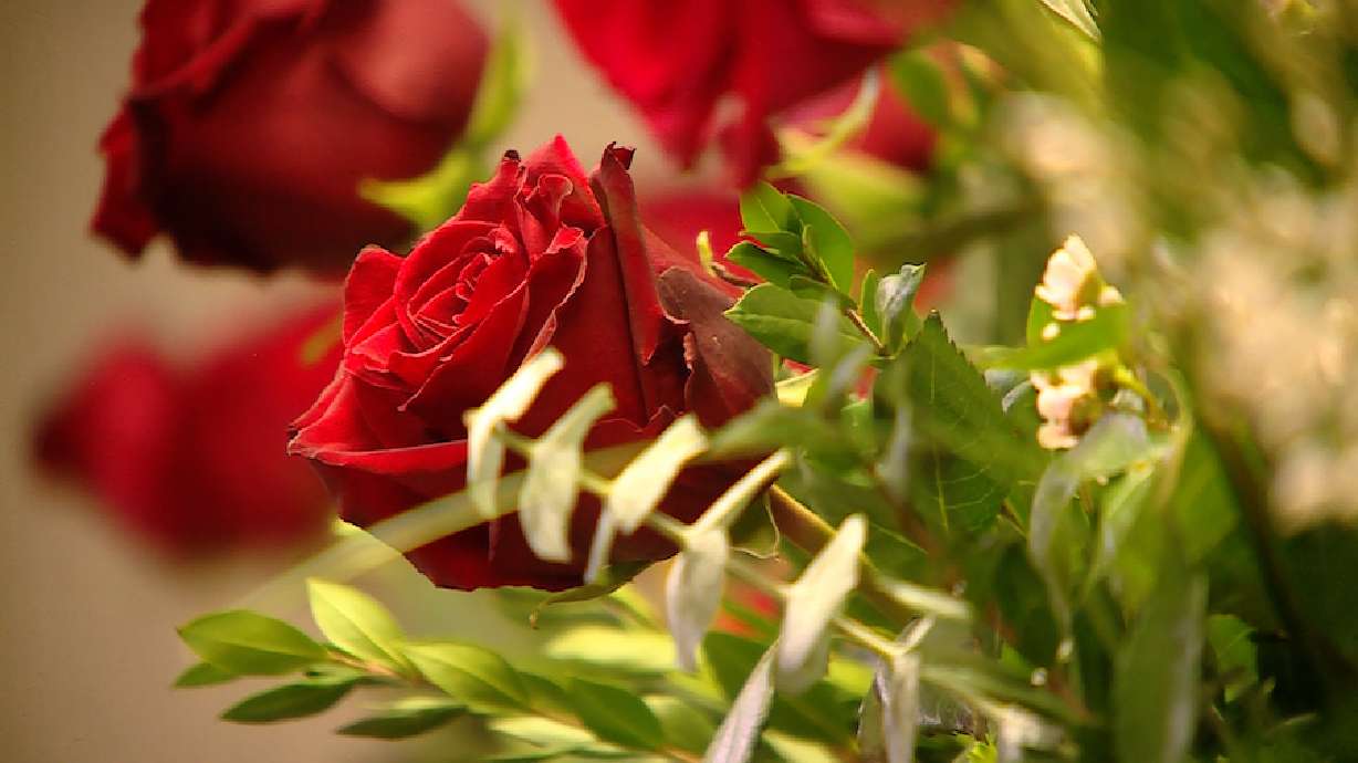 Shopping for Valentine’s roses? 9 comparisons to help you find the biggest bang for your buck