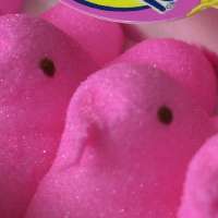 Easter banquet planned for homeless in Pioneer Park