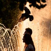 France records around 1,000 additional deaths as extreme heat sets European records