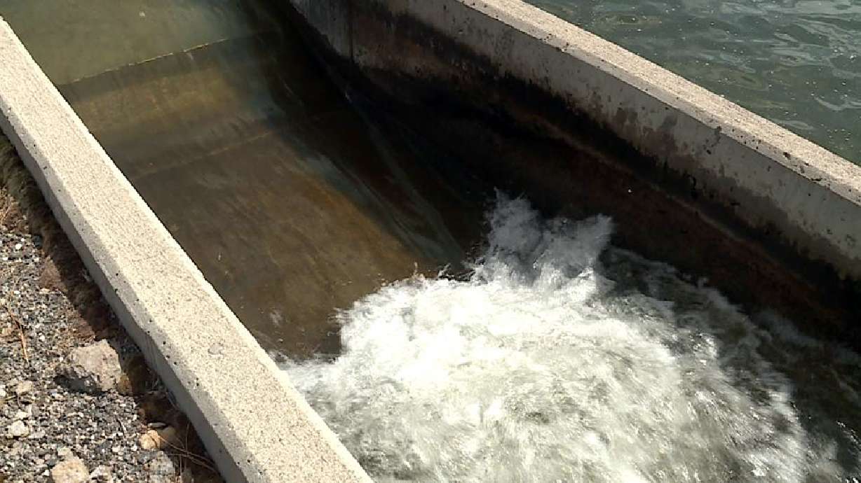 ‘Tip of the iceberg’: Lehi E. coli outbreak could be hundreds of cases