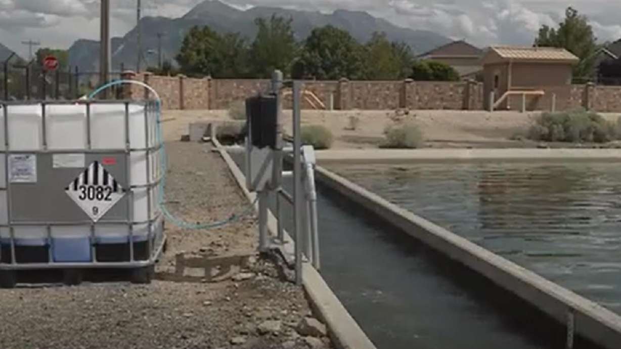 Lehi City: No new E. coli cases; reduced counts of bacteria in irrigation water