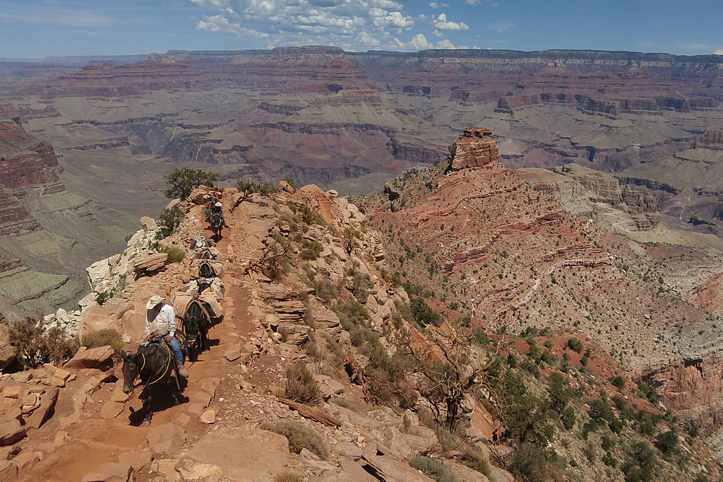 Grand Canyon hiker dies after trying to walk from rim to rim in a ...